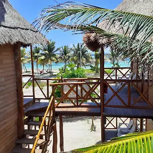 Lodge Palmeras De Mexique